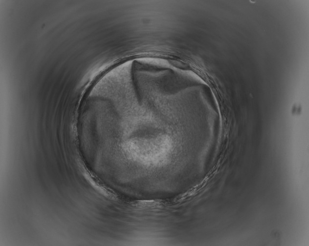 X0000091060050200708271204