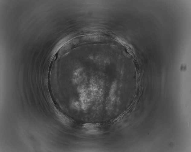 X0000091060051200708271204