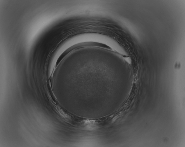 X0000091060052200708271204