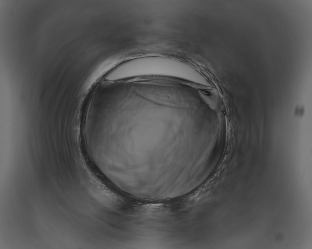 X0000091060054200708271204