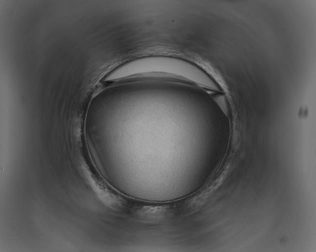 X0000091060057200708271204