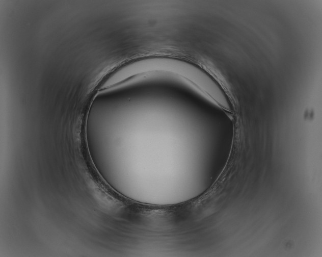 X0000091060058200708271204