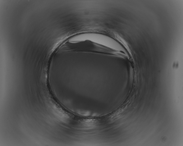 X0000091060059200708271204