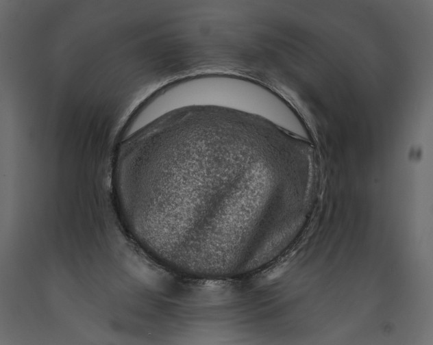 X0000091060060200708271204