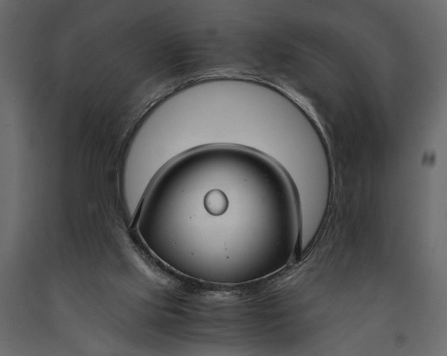 X0000091060061200708271204