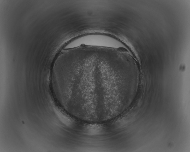 X0000091060063200708271204
