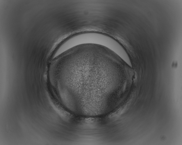 X0000091060064200708271204