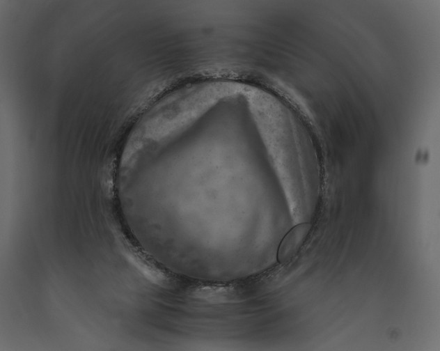 X0000091060065200708271204