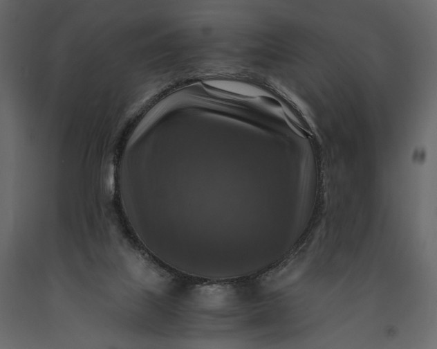 X0000091060067200708271204