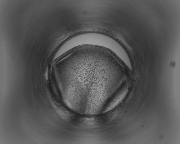 X0000091060068200708271204