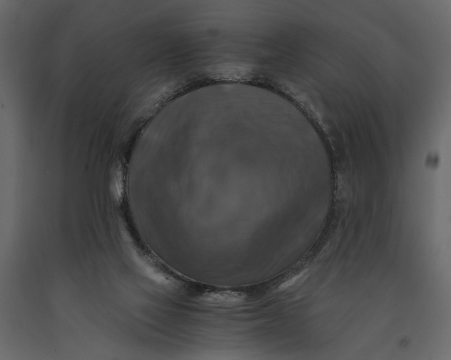 X0000091060069200708271204