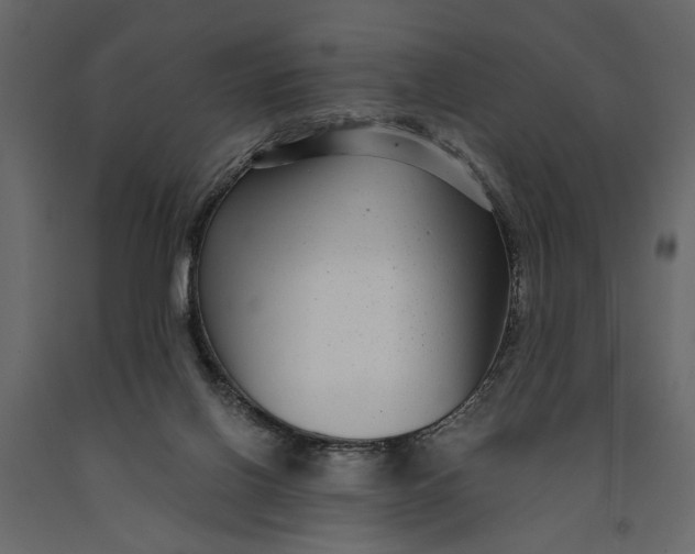 X0000091060070200708271204