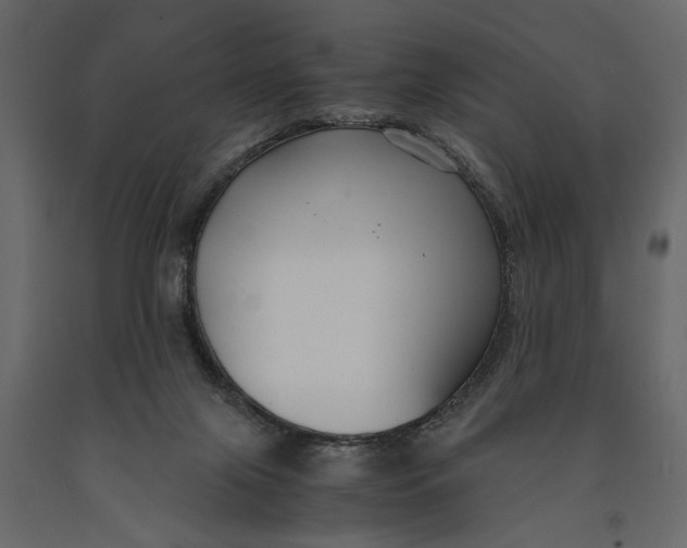 X0000091060071200708271204