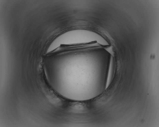 X0000091060073200708271204