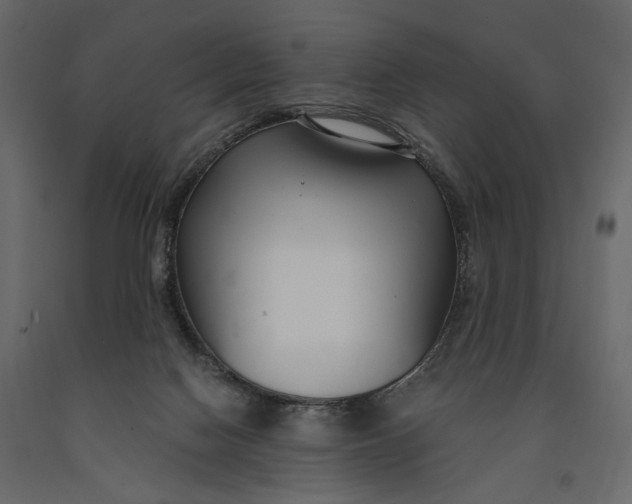 X0000091060074200708271204