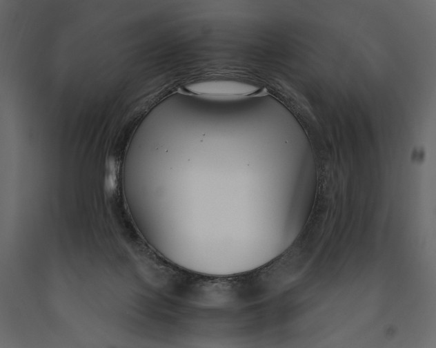 X0000091060075200708271204