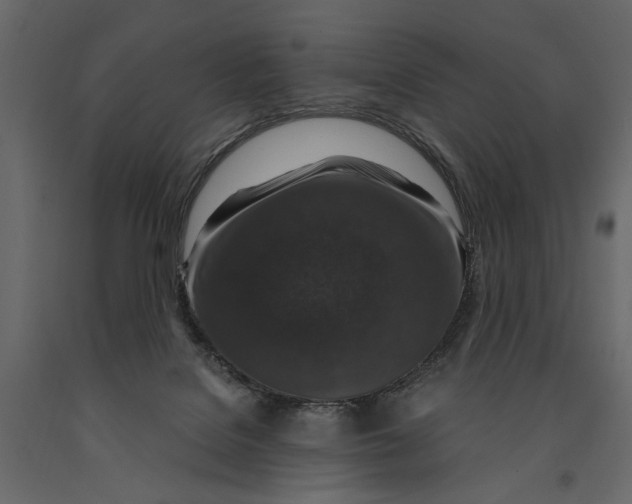 X0000091060076200708271204