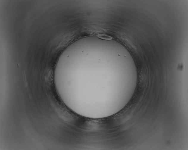 X0000091060079200708271204