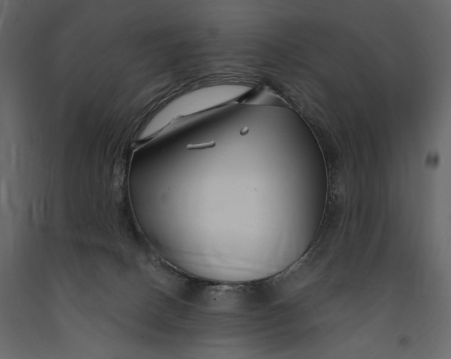 X0000091060082200708271204