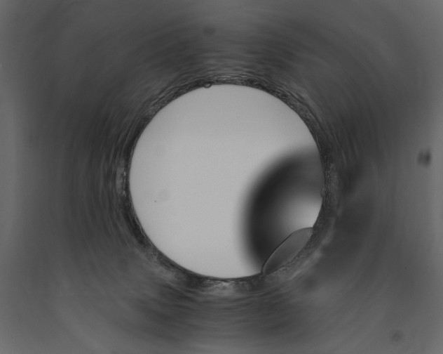 X0000091060083200708271204