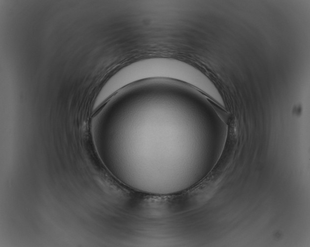 X0000091060084200708271204