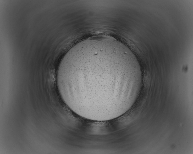 X0000091060085200708271204
