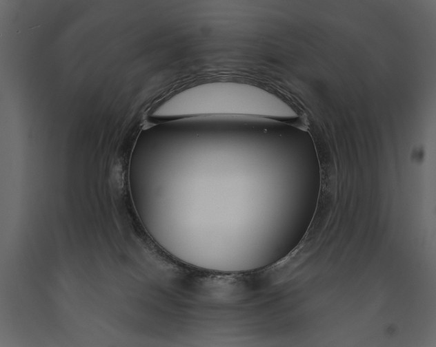 X0000091060086200708271204