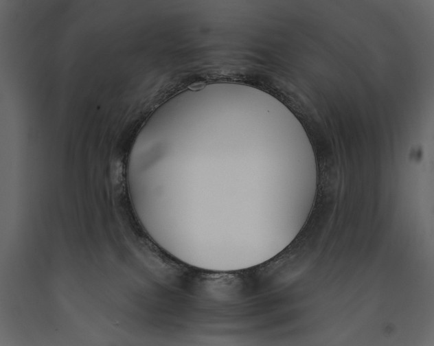 X0000091060087200708271204