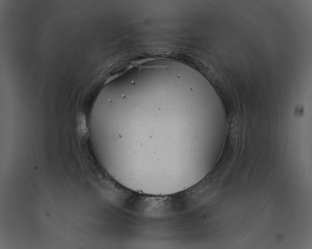 X0000091060089200708271204