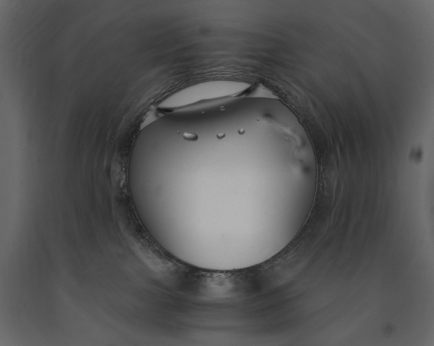 X0000091060091200708271204