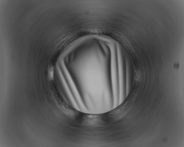 X0000091060095200708271204