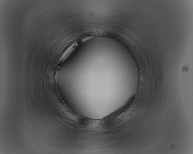 X0000091060096200708271204