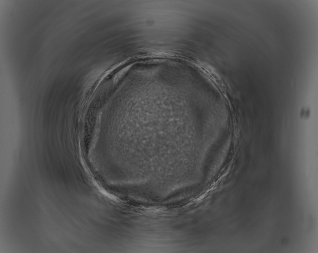 X0000091060097200708271204