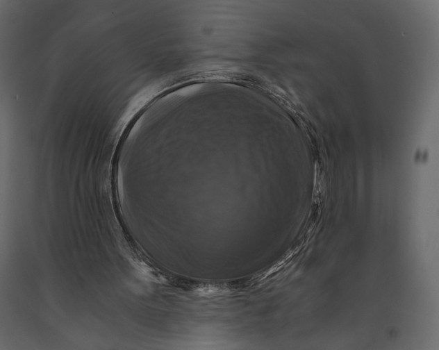 X0000091060099200708271204