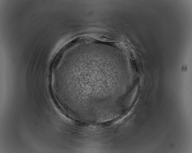 X0000091060101200708271204
