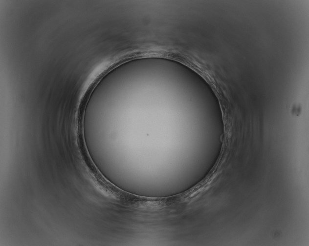 X0000091060102200708271204