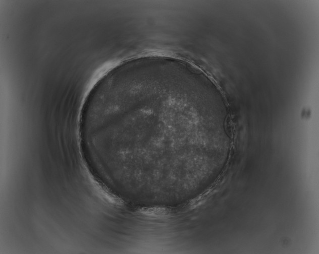 X0000091060104200708271204