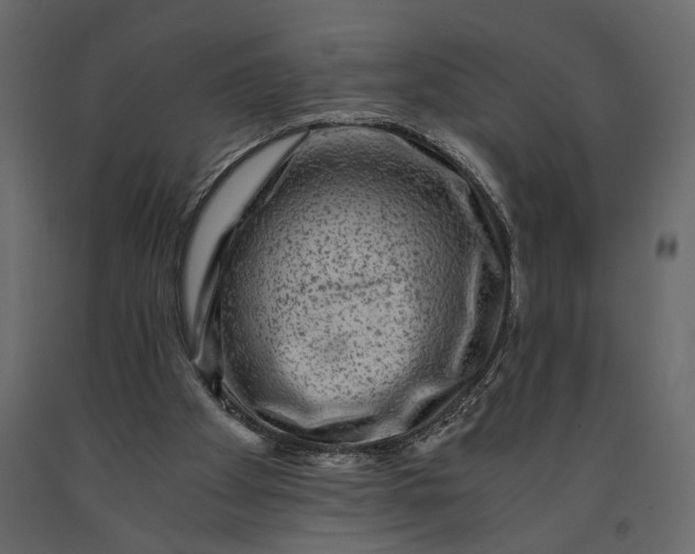 X0000091060105200708271204