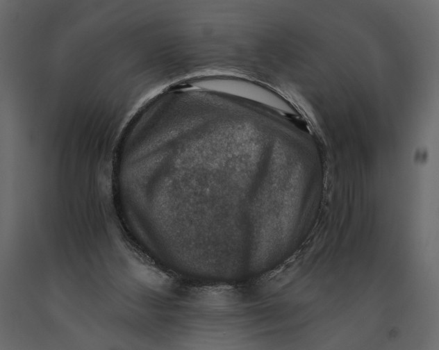 X0000091060108200708271203