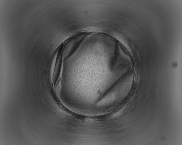 X0000091060109200708271203
