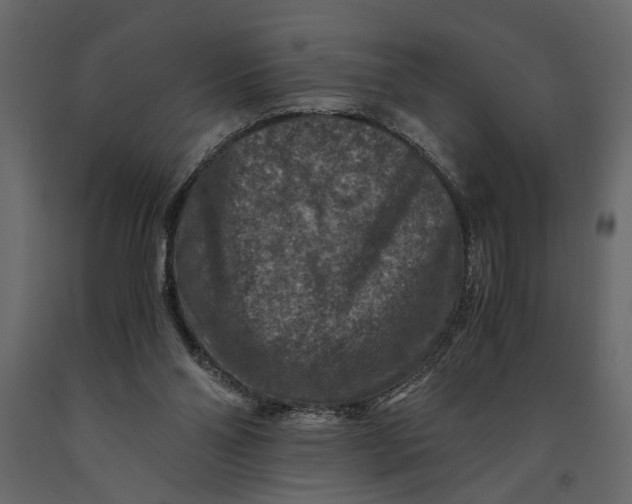 X0000091060110200708271203