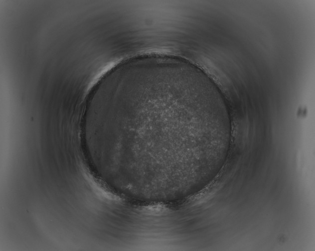 X0000091060112200708271203
