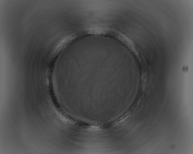 X0000091060114200708271203