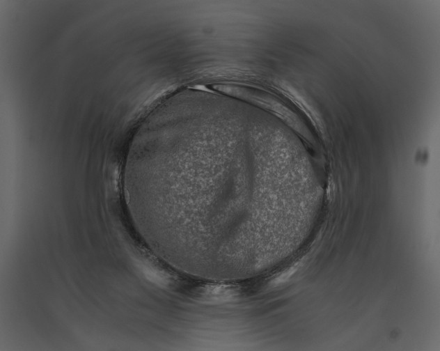 X0000091060117200708271203