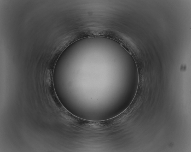 X0000091060121200708271203