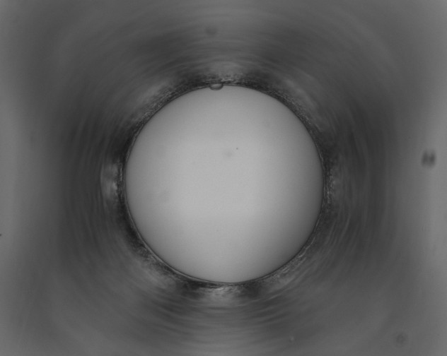 X0000091060122200708271203