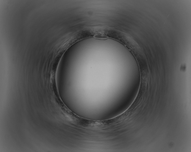 X0000091060125200708271203