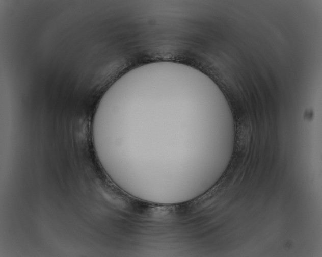 X0000091060126200708271203