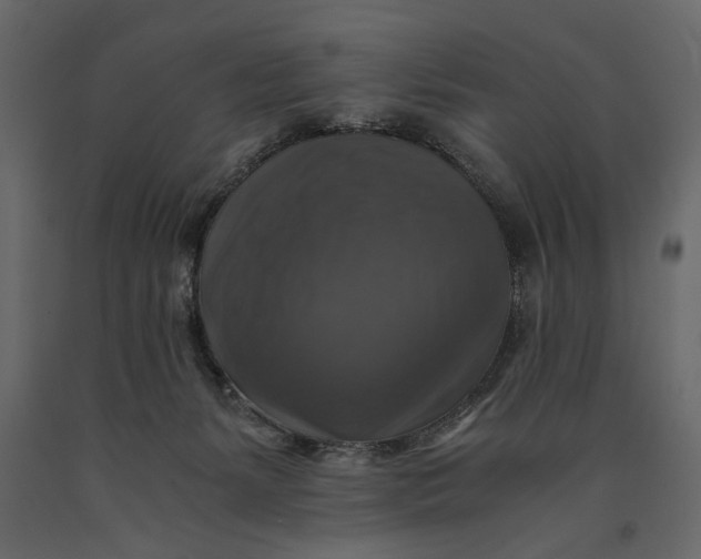 X0000091060127200708271203