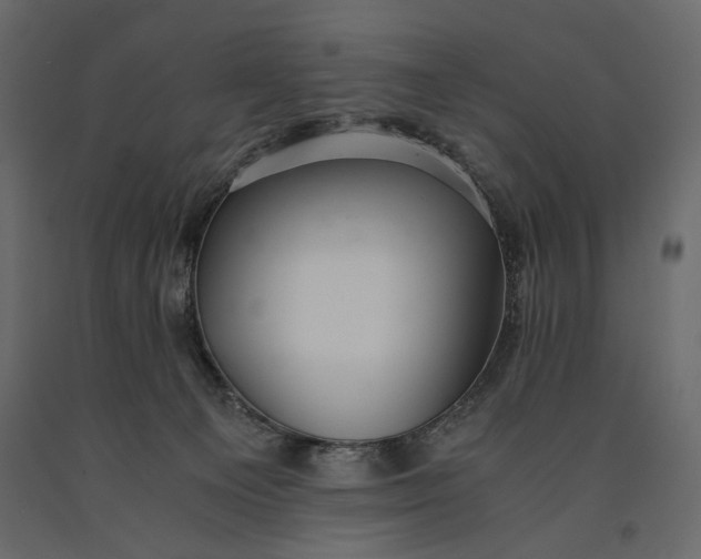 X0000091060129200708271203